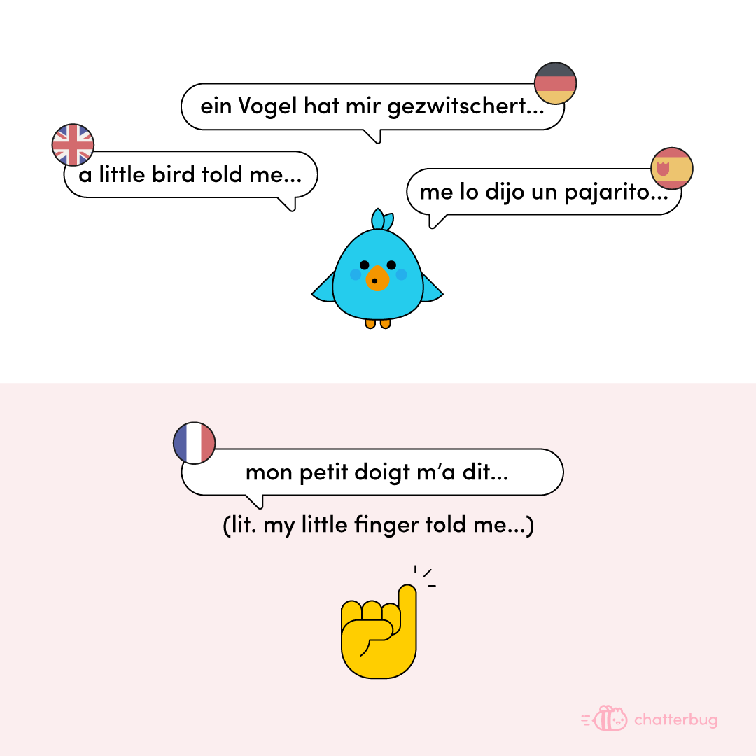 chatterbug_de's tweet photo. Wenn du sagst 'ein kleiner Vogel hat mir gezwitschert...' deutest du an, dass du etwas weißt, aber nicht sagen willst, von wem. Das Konzept ist z.B. im Englischen dasselbe. Auf Französisch sagt man dagegen "mein kleiner Finger hat mir gesagt..."😂#sprache #chatterbug #lernen https://t.co/E4Cjq8znxu