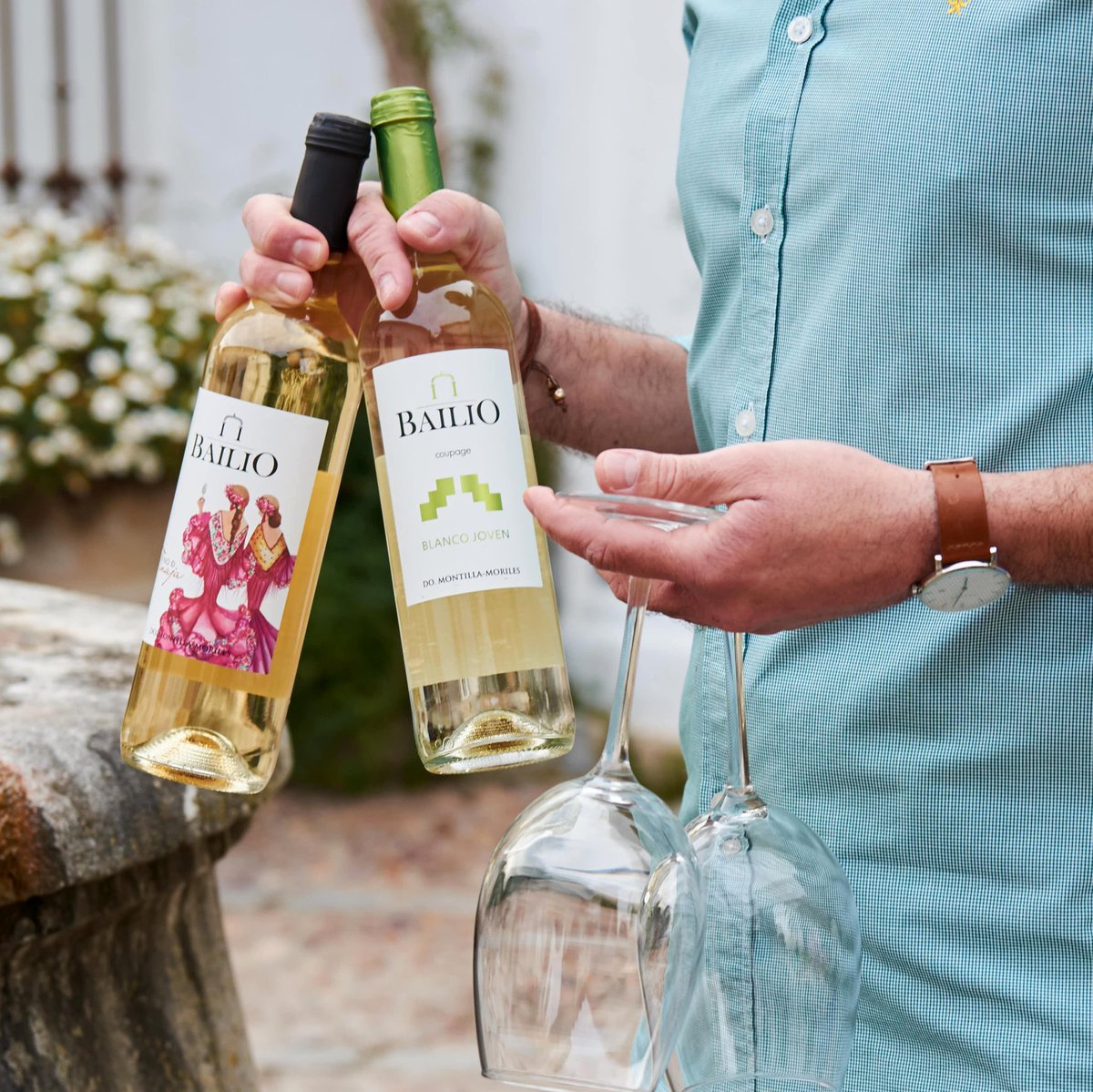 DelPinoBodegas's tweet photo. En el ecuador de la semana cualquiera de estas dos opciones es acertada #Bailio #Joven #Tinaja #VinoBlanco #DenominacionDeOrigen #MontillaMoriles https://t.co/mUcvfi3NRO