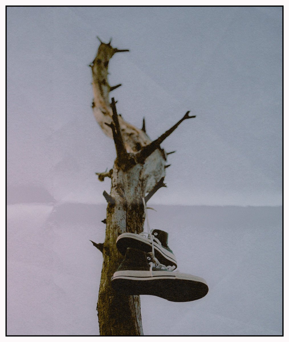 Just been cleared to start working again after my knee operation. 

Help a self employed freelance photographer get his bread this summer 💸

Email me: sseannewtonn64@gmail.com 

Or pass it on to a friend. 

Let’s get creative 💫