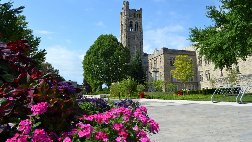 To the incoming undergraduate class,

Welcome to the Western family 💜

You’ve accepted your offer of admission and have taken the first steps of your post-secondary journey. Congratulations, you should be proud! We can’t wait to welcome you in the fall 🤗

#ldnont #westernu