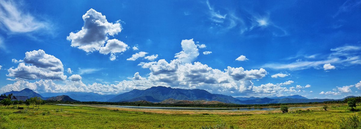 ThirutuKumaran's tweet photo. கவர் போட்டோக்கு யூஸ் ஆகும். #Myclickz #mobilephotography https://t.co/t78vyH9TUS