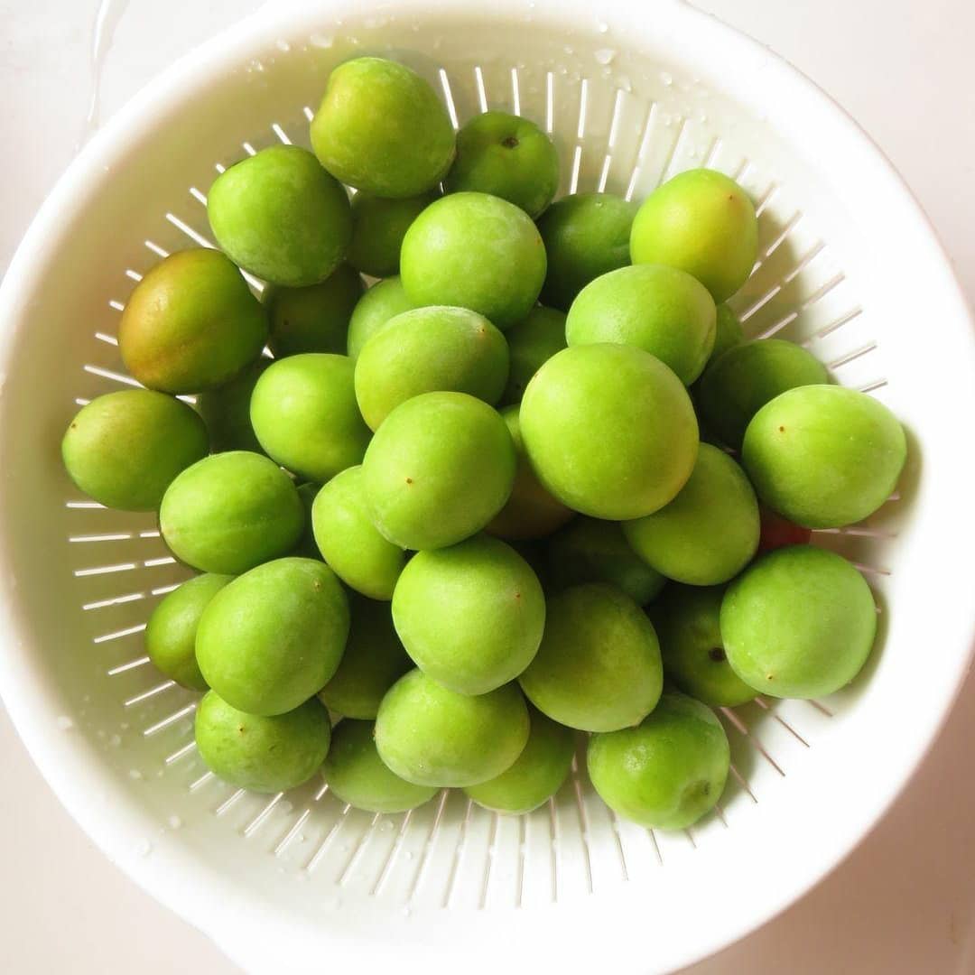 迫本理寛 Michiseri Twitter