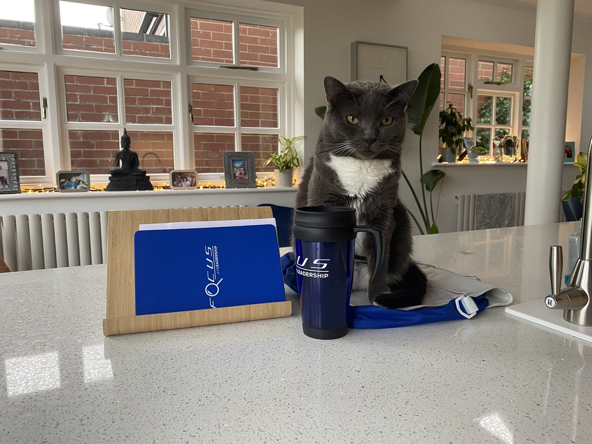 david_boas's tweet photo. Focus on Leadership goodies have arrived. Thank you Henry Ford Academy, looking forward to the 9th. P.S. Tilley loves them. #HFAFOL https://t.co/d8sBpuFmPO