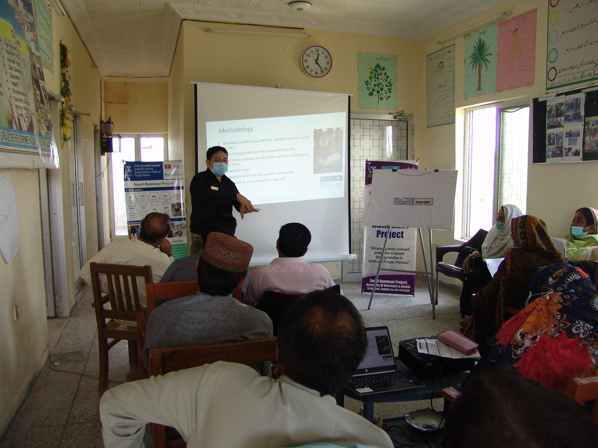 RuminantsSmall's tweet photo. @RuminantsSmall team deliver a ToT session of #Ceepfeeding & #BodyConditionScore #BCS to staff & farmers of #WADO organization at #KunbKhairpur @AciarPakistan @ACIARAustralia @LivestockGlobal @anjoduca @bec_doyle @livestock_sindh @LivestockDept https://t.co/DqE61G9NI0