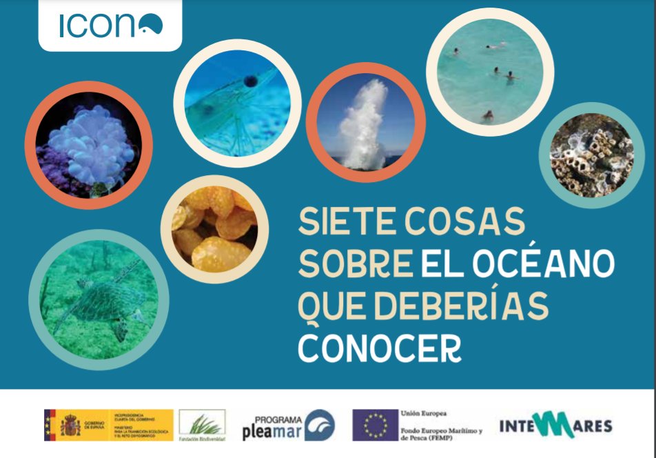 ICONO Cultura Marina tweet media