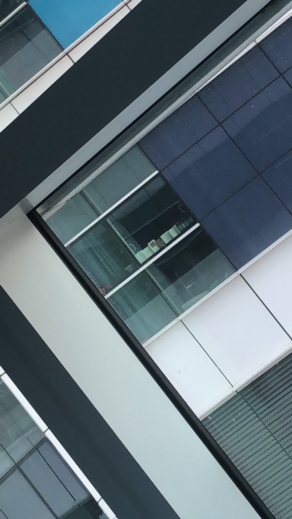 Sir. Kipsta tweet media