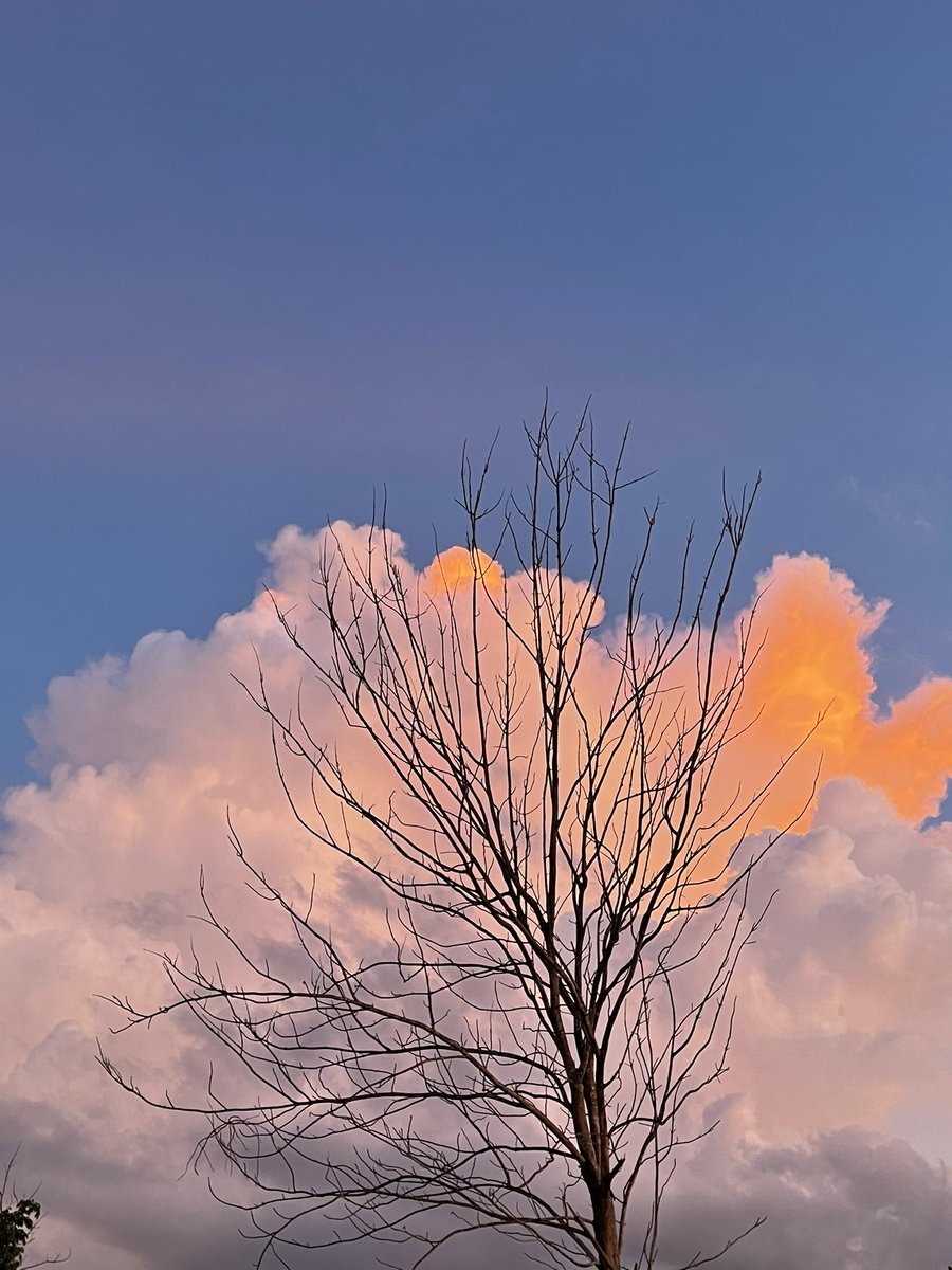 sfkkfs_'s tweet image. ท้องฟ้าวันนี้สวยแบบขี้โกง ✨🤏🏻🛋