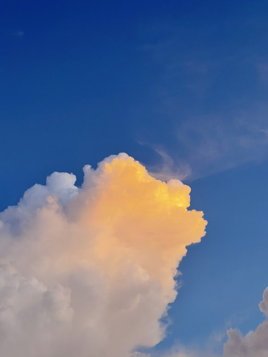 sfkkfs_'s tweet image. ท้องฟ้าวันนี้สวยแบบขี้โกง ✨🤏🏻🛋