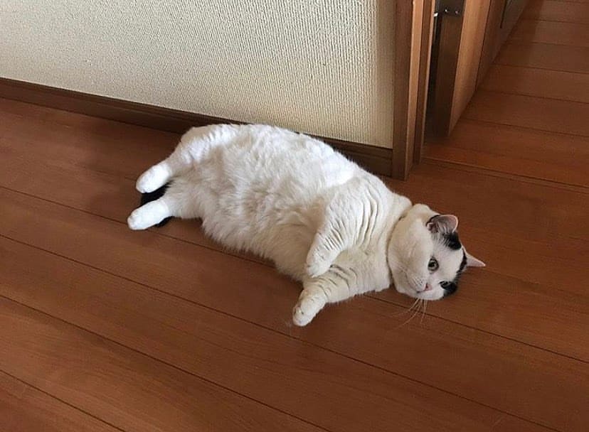 *Existential crisis.*