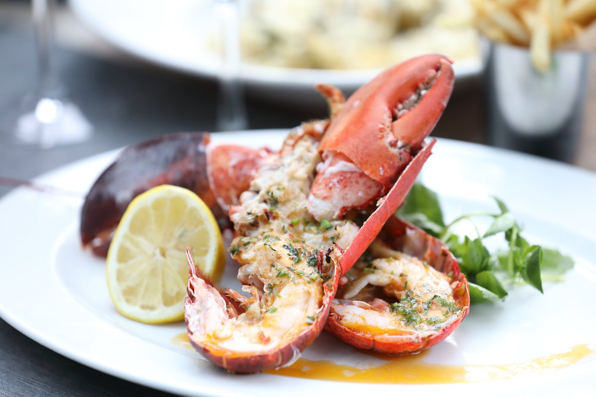 We’re proud to announce that our spectacular Whole Grilled #Lobster is returning to the menu 😍

Who’s excited to visit their local Loch Fyne restaurant to give it a try? 🦞

Book your table today: bit.ly/3oZCbt8