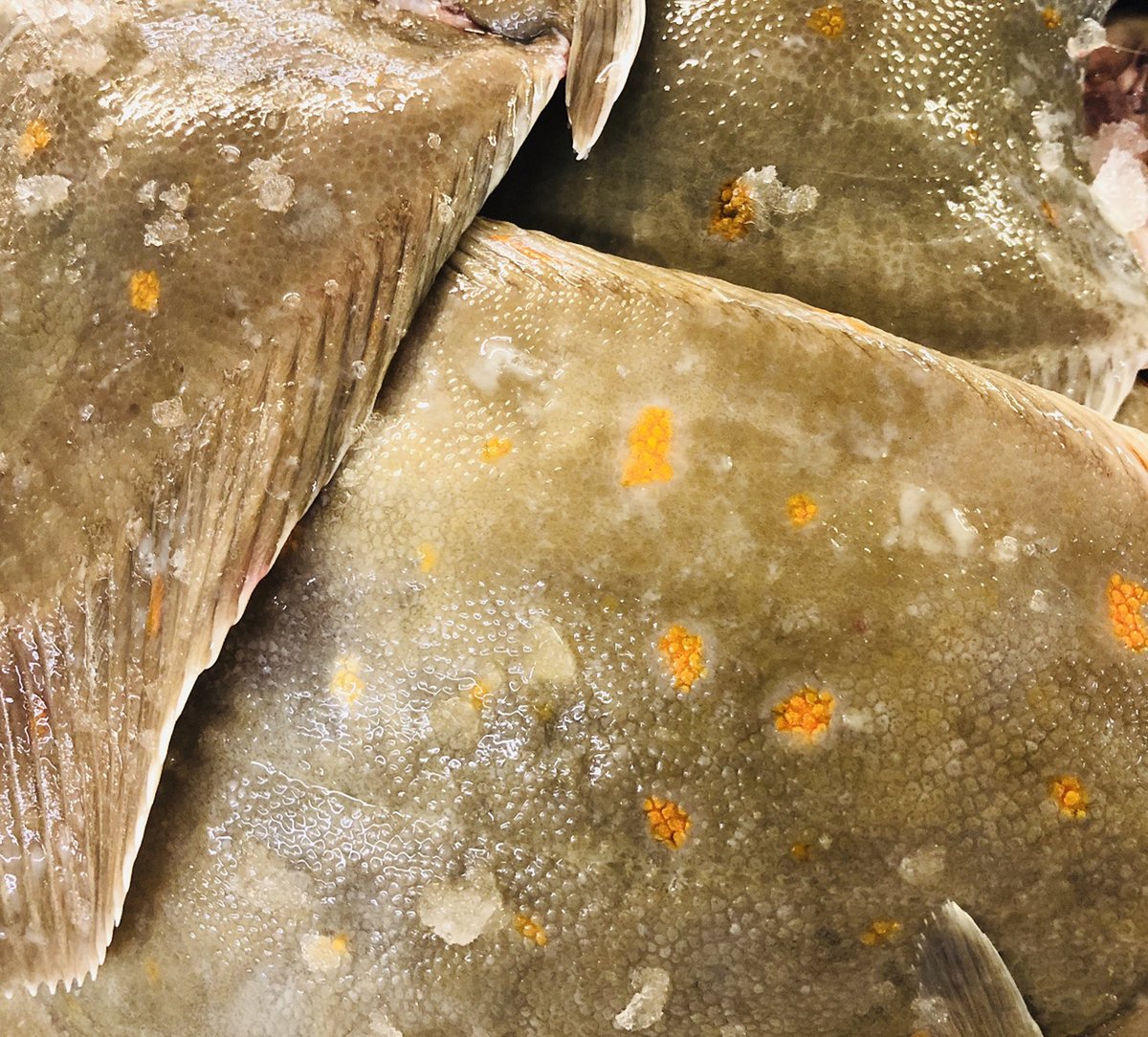 One of our Buyers' Picks, Plaice is back in season and will be until December. There is plenty of Plaice from UK waters with good sustainability credentials so this is an excellent choice. Speak to your account manager for more information #freshfish #sustainablechoice