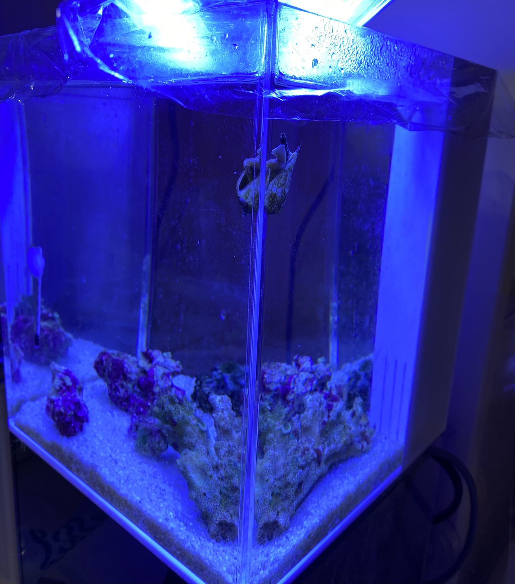 みな N Rp7e Twitter