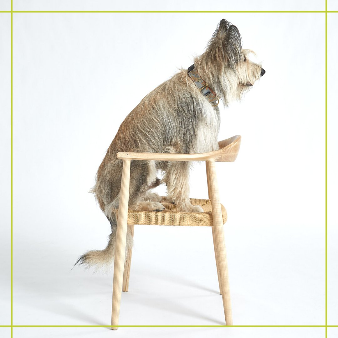 Sit. Stay. Not a problem in Etc.’s Milam chair, available in three timeless colorways from FPi.

#furniture #furnituredesign  #interiors #interiordesign #interiordesigner #architecture #interiorarchitecture  #natural #textiledesign #commericaldesign #minimalism #etc #lifeworketc