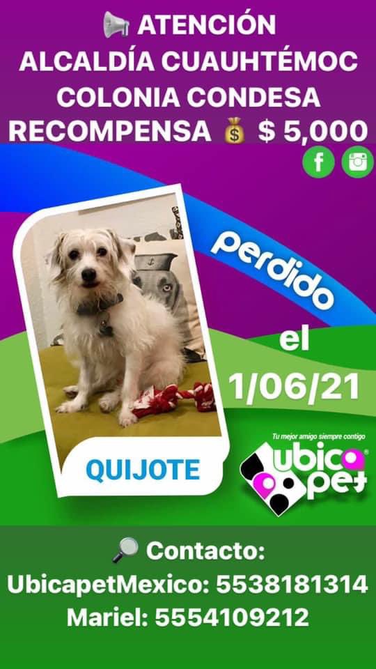 XuanPablo's tweet photo. #condesa #CDMX #SeBusca https://t.co/cdCEQoY799