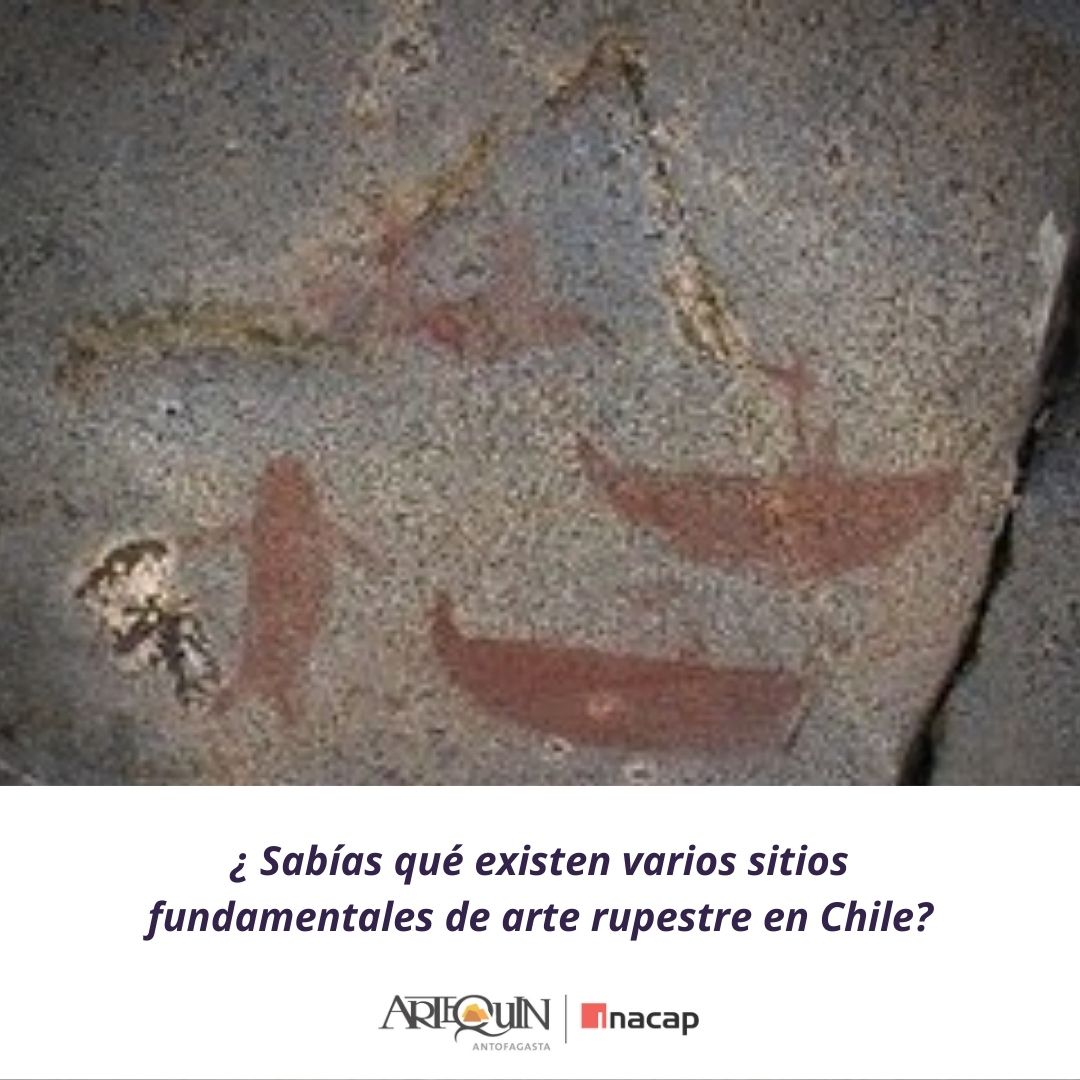 Artequin_Antof's tweet photo. Damos inicio a Junio ☺️"Mes de Ritos y Raíces" en el museo, con un viaje en el tiempo y un recorrido por la costa de la zona norte en busca de arte rupestre ¿Qué les parece?

#CulturaSegura #educacionadistancia #arte https://t.co/SNrOetrpKC