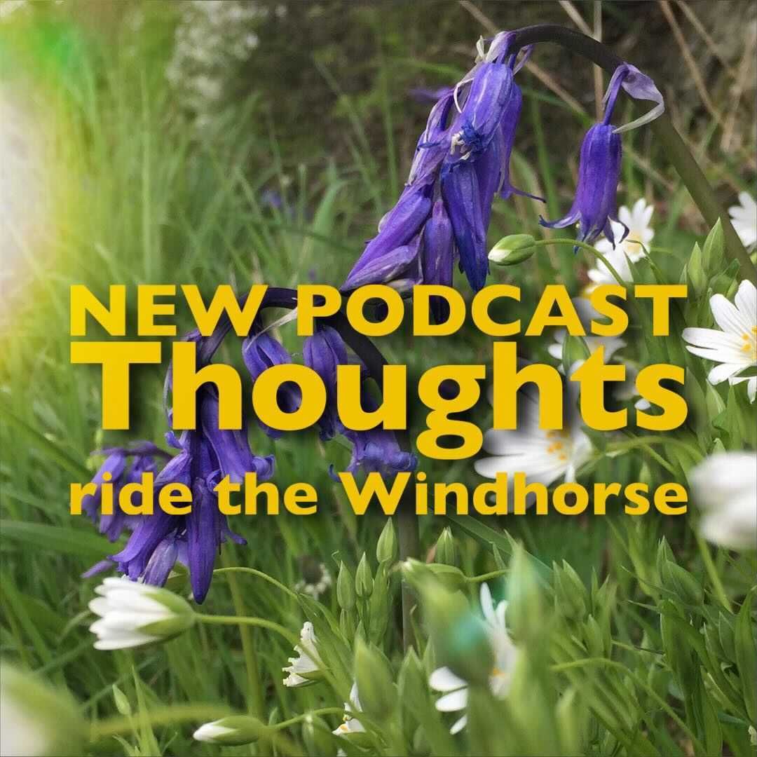 mindspringstwit's tweet image. From a recorded lesson: Alistair discusses thoughts and thinking with students.  Soothing our minds soothes our thoughts. If the body is unified our thoughts ride the Windhorse of the body's energy. buff.ly/3fUOUJL #thinking #meditation #ego