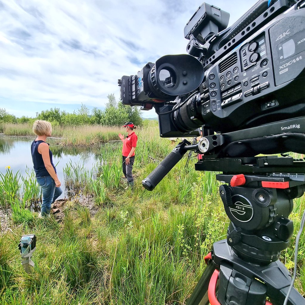 JamesHarriesMM's tweet photo. In search of beavers and ospreys yesterday at @MontWildlife @DyfiOspreys with @itvcoastcountry π¦
π₯π΄σ §σ ’σ ·σ ¬σ ³σ Ώ
Coming to your TV screens very soon.
#tv #itv #beaver #osprey #cymru #wales https://t.co/KkOmwgMa1u