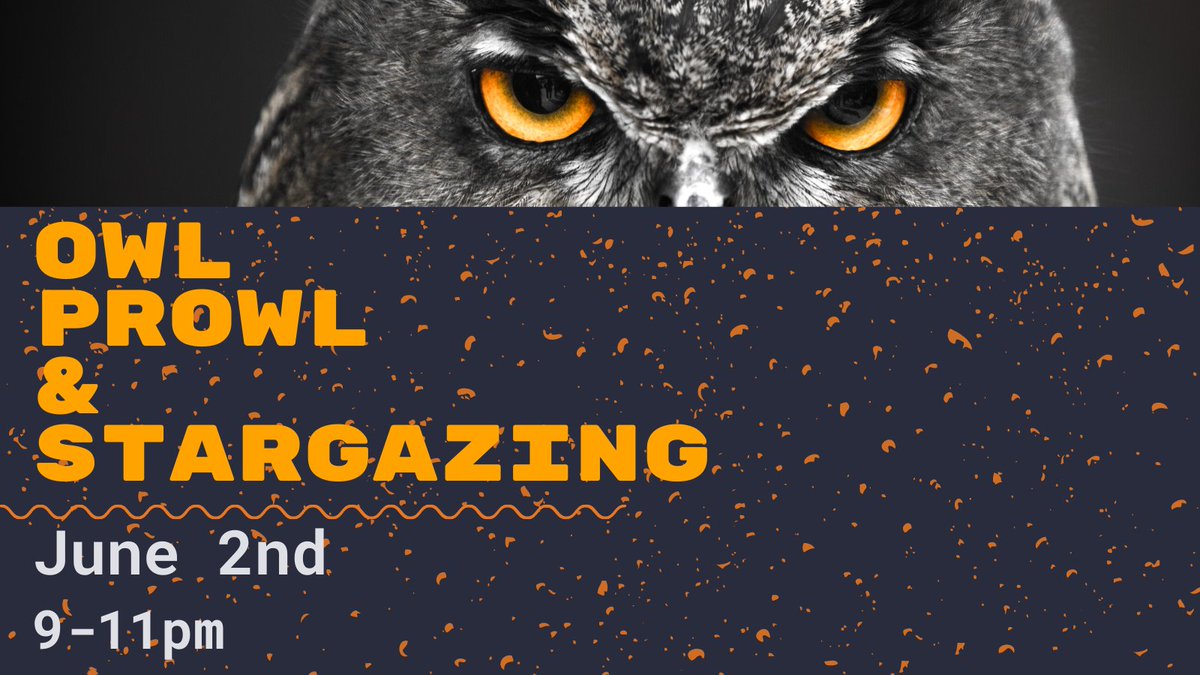 BucknellBCSE's tweet photo. Tonight's student excursion is in the dark! Look for reclusive owl species and maybe witness the hunt. See the stars unhindered from the top of Dale's Ridge, the way they were meant to be seen. Transportation provided. Limited space available. Sign up at https://t.co/DWrExIXXV5 https://t.co/x830uJgOMb