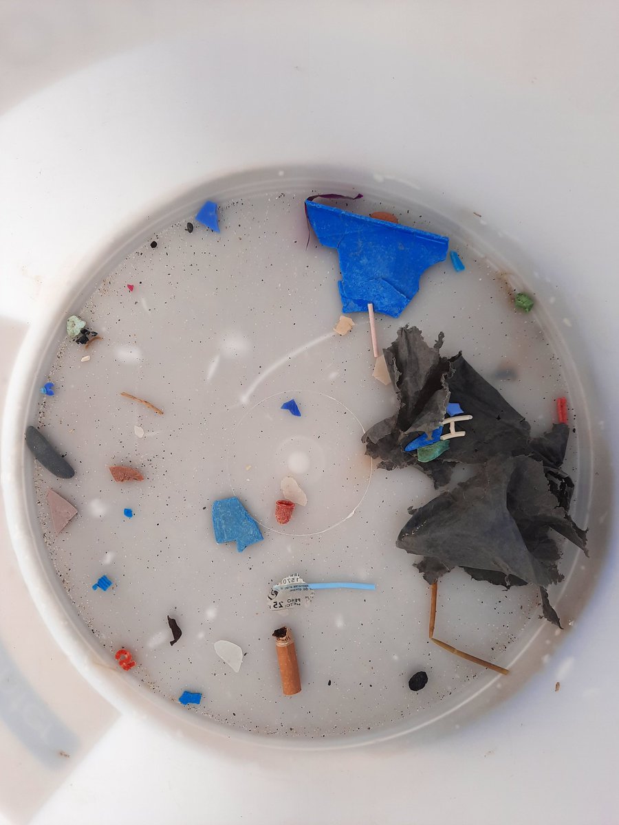 Ready to celebrate #WorldEnvironmentDay2021? We already started by revisiting #EasternBeach with Dolya for the 64th #GreatGibraltarBeachClean Volunteers took on the ardous task of collecting 100's of #microplastics #gibraltar #marineconservation