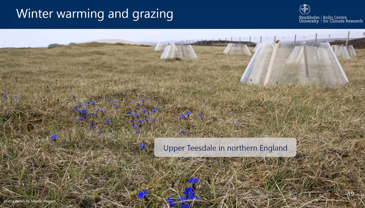 SAOCousins's tweet photo. Nina Roth presented her PhD-thesis work as a half-way seminar: The effect of extreme weather events and land use change on grassland communities 
@BolinCentre @Stockholm_Uni @LandscapeSthlm 
#biodiversity #climatechange #tovetorp #teesdale https://t.co/EljBiMWfHF