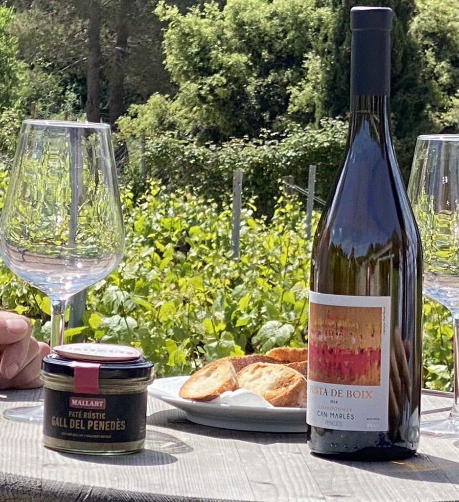 bodegacanmarles's tweet photo. En nuestro wine bar ya servimos el paté rústic del gall del penedès. Reserva tu mesa y disfruta entre viñas de tu vino favorito con el mejor #picatast #penedesexperience #gallnegre @penedesturisme #winebar @elmontmell #elmontmell #bodegacanmarlès https://t.co/RVHT7qM8QL