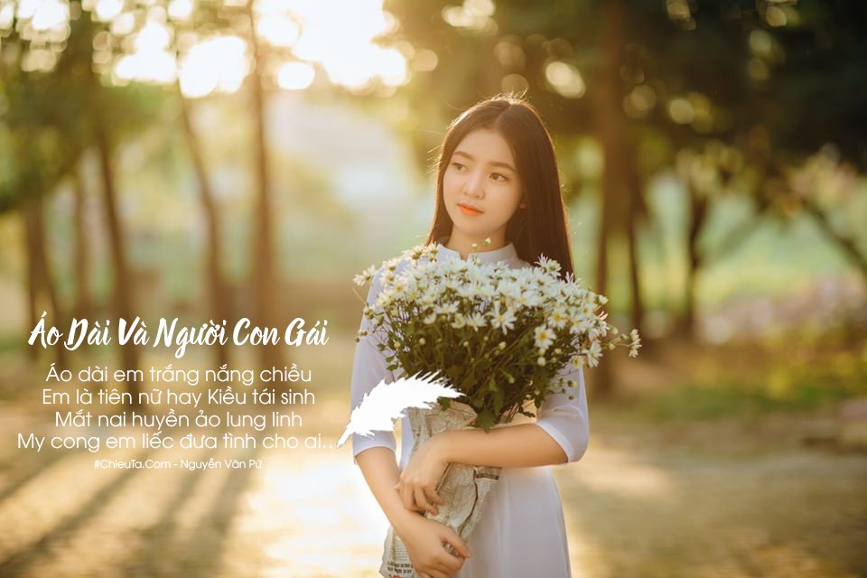 Bích Phượng tweet media