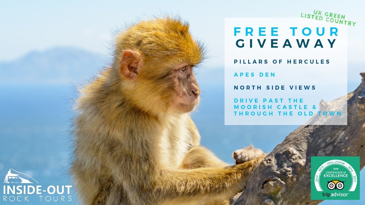 gibtours's tweet photo. We're extending our Panoramic Tour #Giveaway until the 1st of July! Like this post and follow our page to be entered!

Tour is available for up to 8 people in a luxury Mercedes with our local expert tour guide Carl Mesilio! #Gibraltar is a #greenlisted country too! https://t.co/DWrcrVNI91