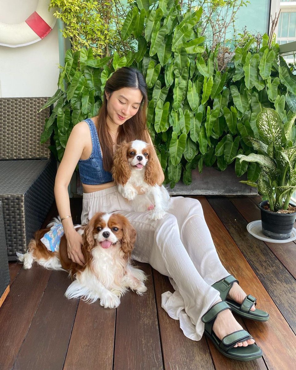เจ้าวุ่นวายทั้งสอง🐶💗🐶 @thamesthecavalier รอ👶🏻มาวุ่นวายด้วย🥰 #6monthspregnant