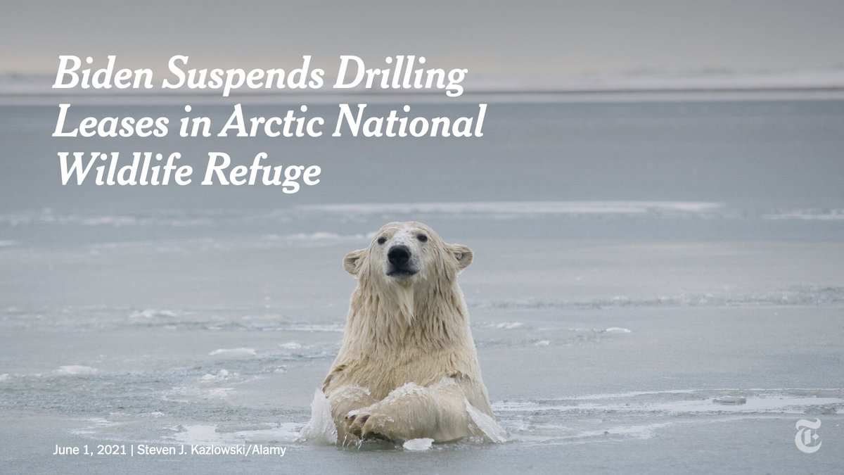 The Biden administration on Tuesday said it would suspend the oil drilling leases in Alaska's Arctic National Wildlife Refuge that were issued by the Trump administration. nyti.ms/3i9X1Vx