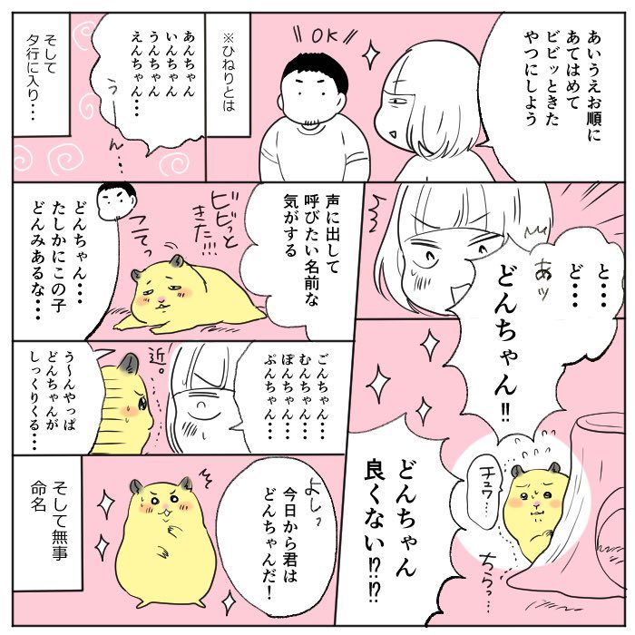 みんなどんな感じで名前を考えるのでしょう? 