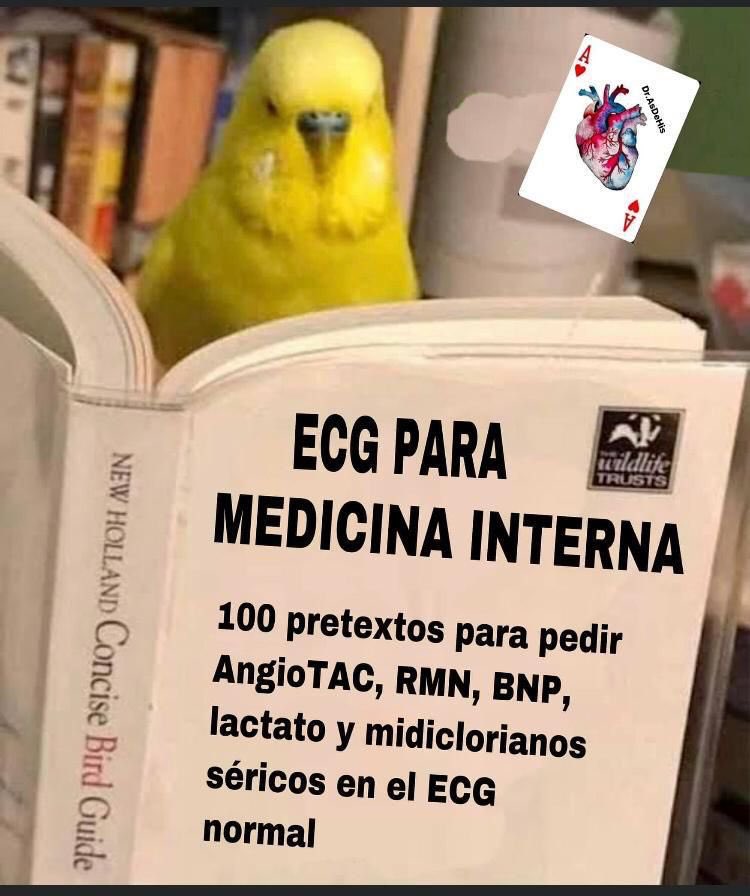 g_asensiomonica's tweet photo. I don’t know why but this reminds me of @DGlaucomflecken ‘s Tik Toks 😄 https://t.co/Ec4WsZlryK