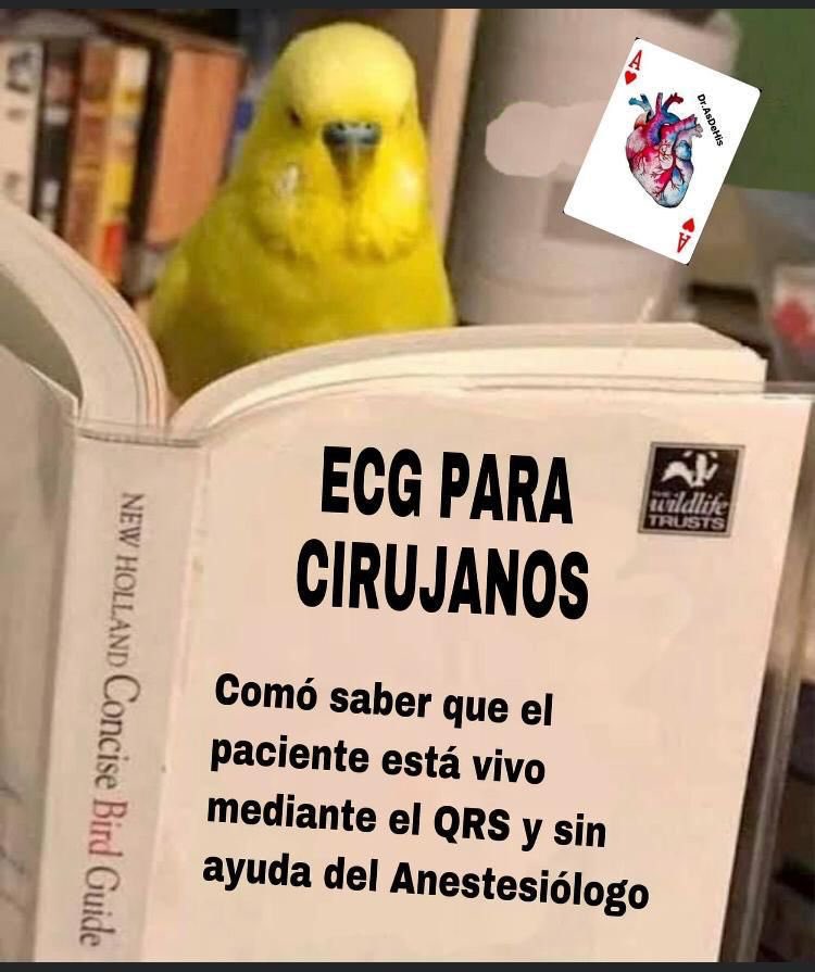 g_asensiomonica's tweet photo. I don’t know why but this reminds me of @DGlaucomflecken ‘s Tik Toks 😄 https://t.co/Ec4WsZlryK
