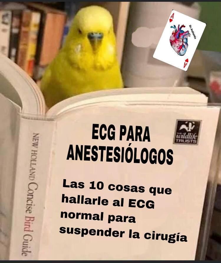 g_asensiomonica's tweet photo. I don’t know why but this reminds me of @DGlaucomflecken ‘s Tik Toks 😄 https://t.co/Ec4WsZlryK
