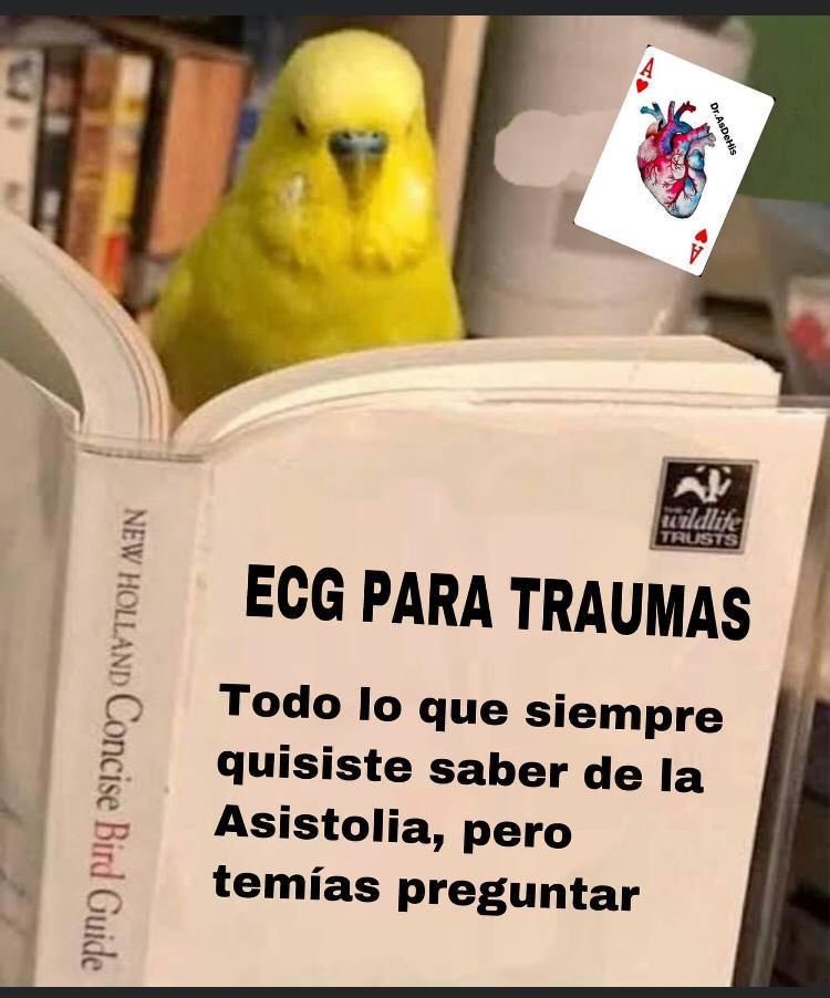 g_asensiomonica's tweet photo. I don’t know why but this reminds me of @DGlaucomflecken ‘s Tik Toks 😄 https://t.co/Ec4WsZlryK