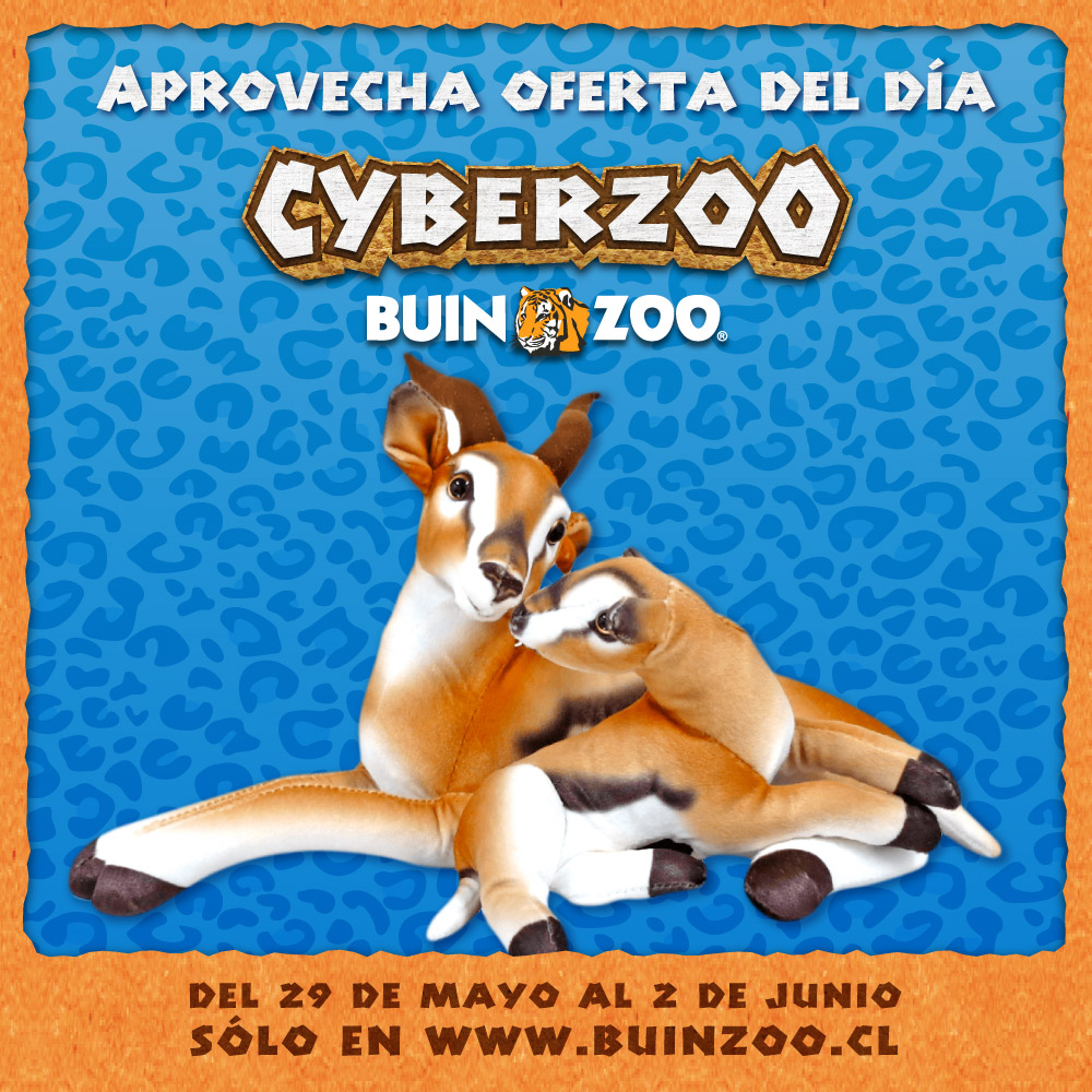 Buin_Zoo's tweet photo. ¡Último día de nuestro CyberZoo! Sólo por hoy podrás comprar estos increíbles productos a un a un precio insuperable.
Ingresa a nuestra tienda online Makupa Market y aprovecha nuestros descuentos: https://t.co/4WyzKIE2dE… #Cyber #CyberZoo #BuinZoo #TienesQueVivirlo 🐾🦏🐻🐯🦁 https://t.co/zkbUwK3euE