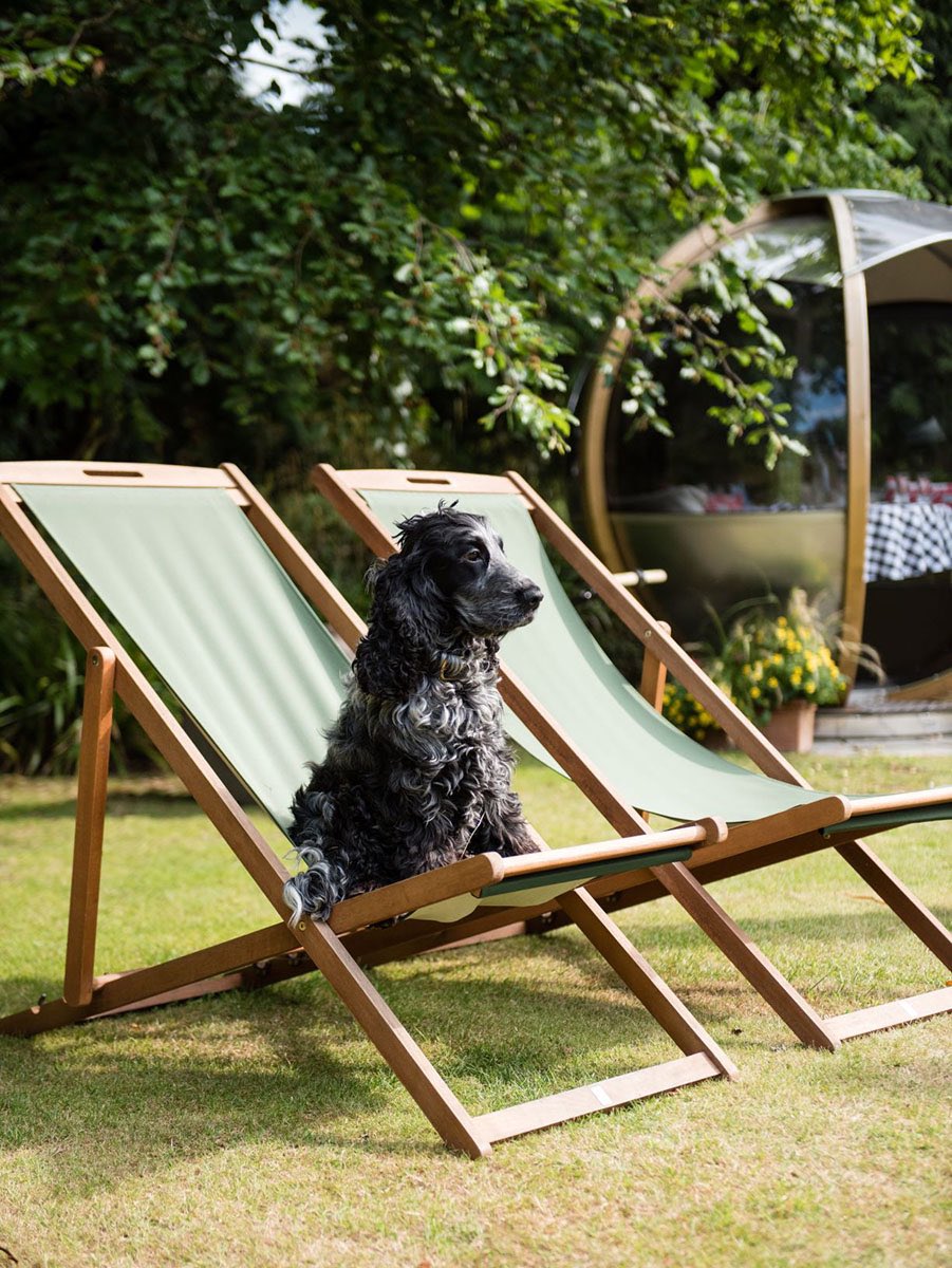PetaPhipps's tweet photo. Staring at summer like this cute pup 🐶 

#UKBound #travelwithus #SwankyRetreats 

https://t.co/j4EPKMVkNw https://t.co/b58Us5UP9q