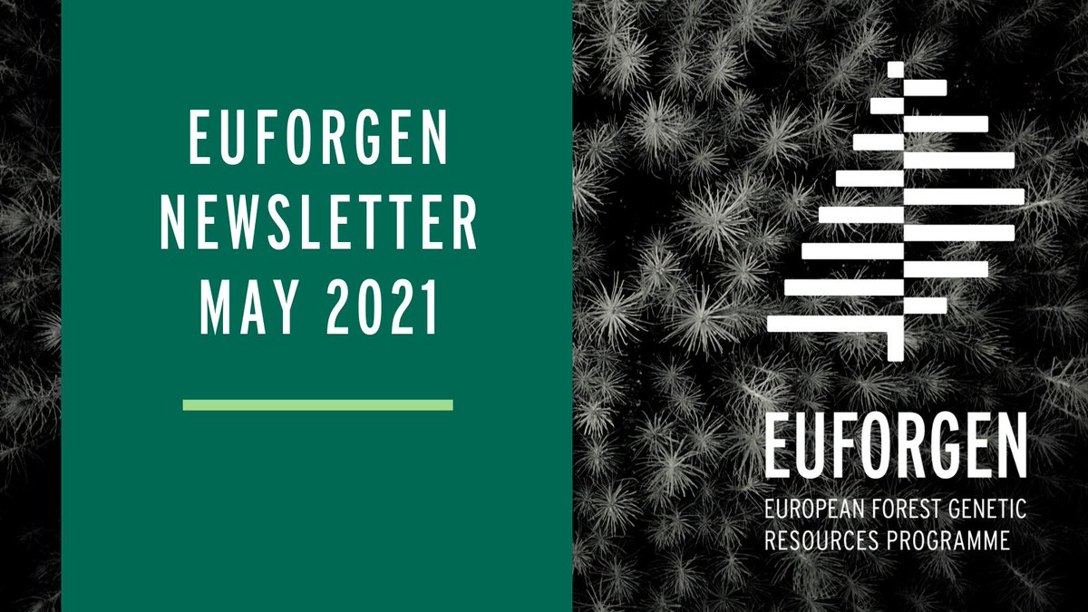 EUFORGEN (@euforgen) on Twitter photo 📢Hot off the Press!!
‼️Our May 2021 Newsletter is now available!!
💡New Forest Reproductive Material report, <a href="/LIFEGENMON/">Lifegenmon</a> project Manual for Forest Genetic Monitoring, the <a href="/GenresBridge/">GenRes Bridge</a> gateway, the latest <a href="/FORESTEUROPE/">FOREST EUROPE</a> conference... and much more!
👉🏻 bit.ly/EUFORGEN_May20… 📢Hot off the Press!!
‼️Our May 2021 Newsletter is now available!!
💡New Forest Reproductive Material report, <a href="/LIFEGENMON/">Lifegenmon</a> project Manual for Forest Genetic Monitoring, the <a href="/GenresBridge/">GenRes Bridge</a> gateway, the latest <a href="/FORESTEUROPE/">FOREST EUROPE</a> conference... and much more!
👉🏻 bit.ly/EUFORGEN_May20…
