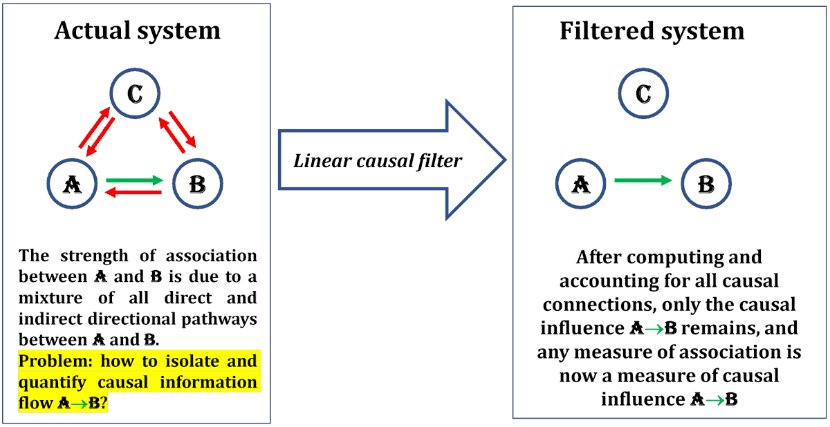 Giorgio Arcara Giorgioarcara Twitter