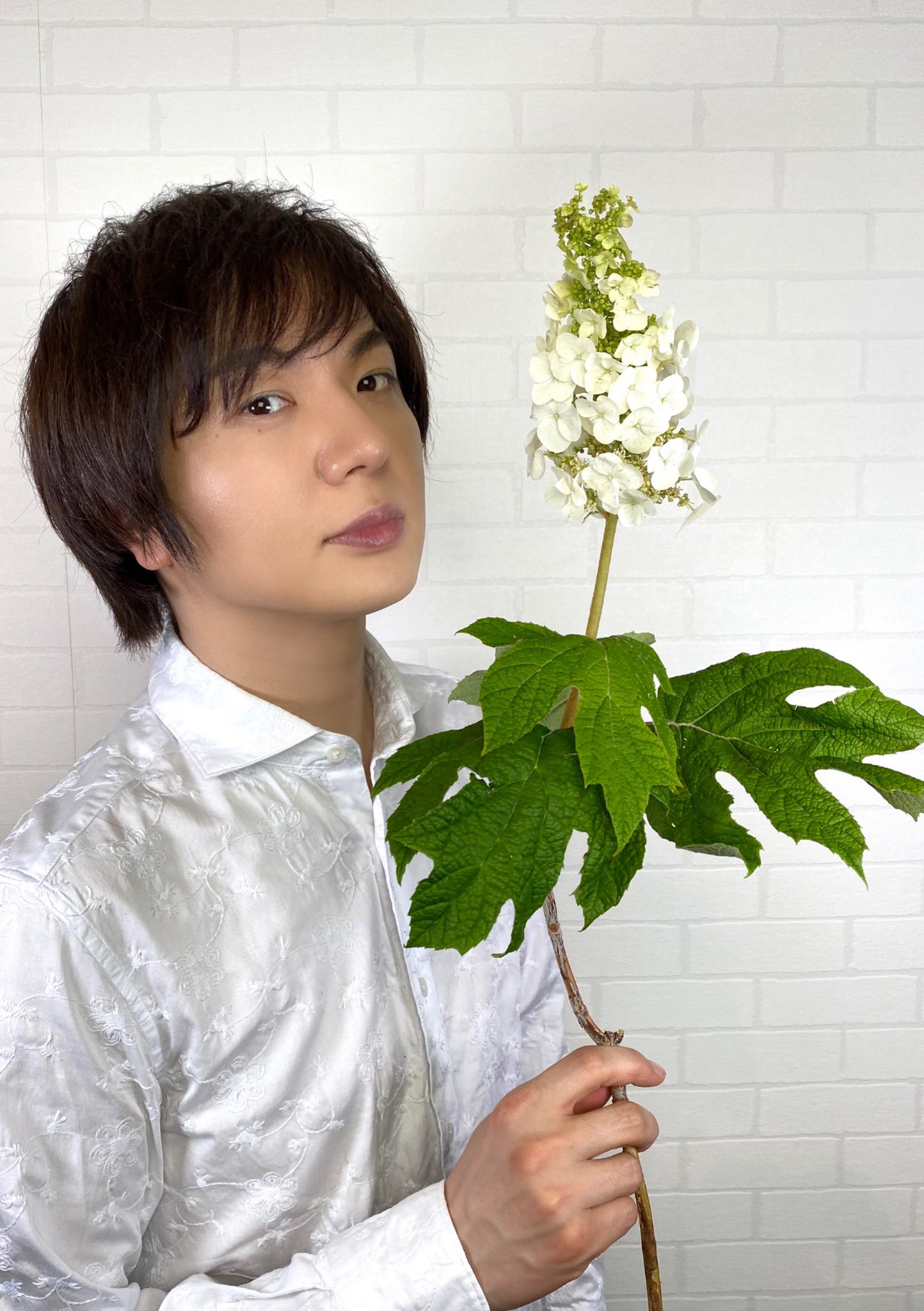 竹島宏スタッフ 公式 柏葉紫陽花 花言葉は 汚れなき心 ピラミッドみたいな形に 咲きます 紫陽花もいろ いろ種類がありますね 今日も１日お疲れ様でした ひろネット 花便り 花言葉 花 花を贈ろう 柏葉紫陽花 花のある暮らし 花のある