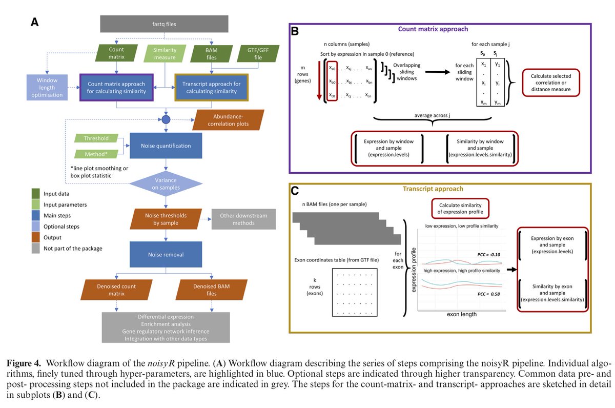 We hope that our discussion on smoothing technical noise in high-throughput sequencing experiments will help to enhance the robustness of biological interpretations. An inspired team effort led by Ilias Moutsopoulos and <a href="/imohorianu/">Irina Mohorianu</a> #rstats #bioinformatics 
academic.oup.com/nar/advance-ar…