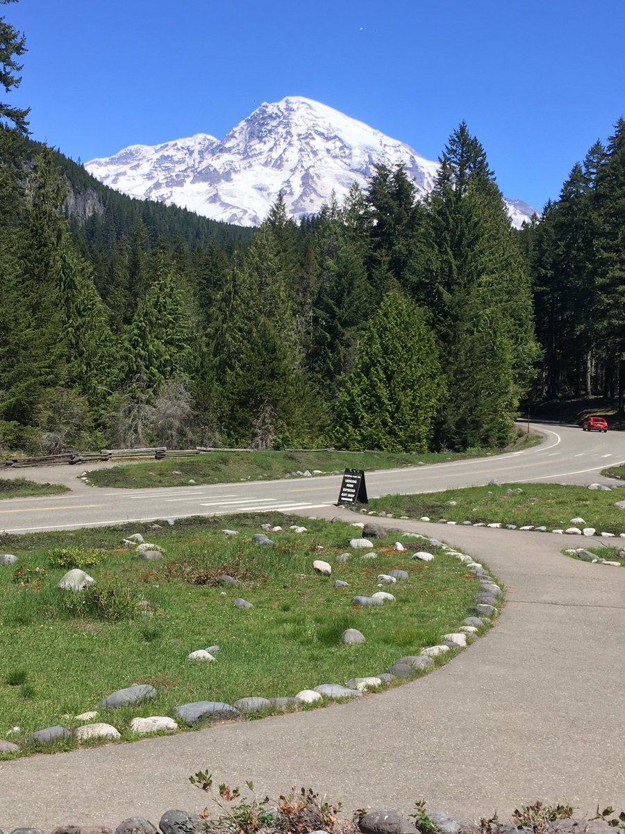 GerryGabrys's tweet image. It’s a beautiful day at Mt Rainier. I never get tired of this amazing view