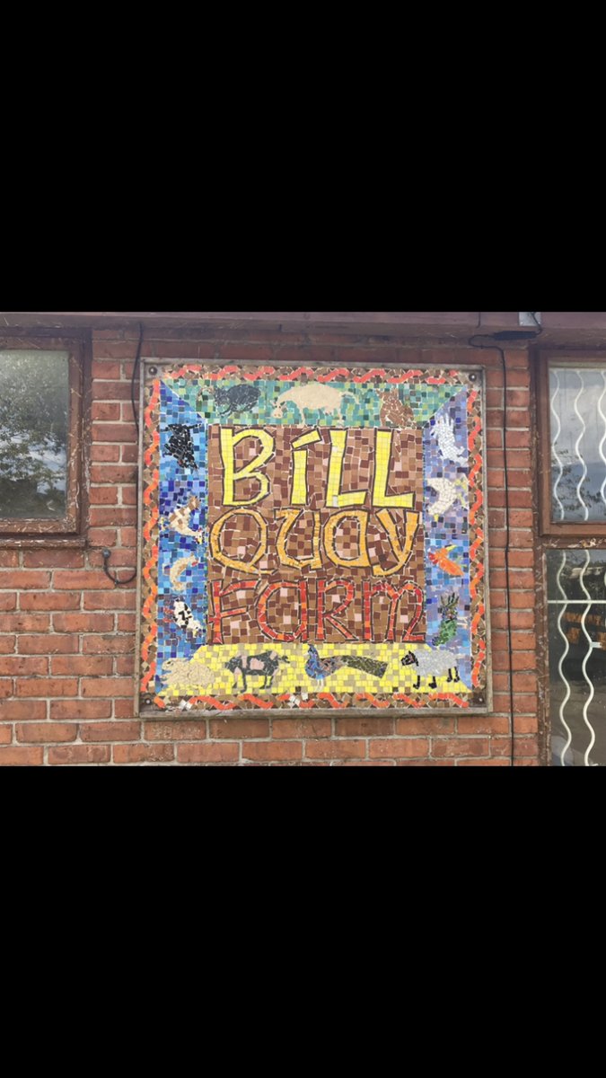 Loverly trip to @BillQuayFarm for a face to face session with one of our dads. 

We both think the sunshine can stay!