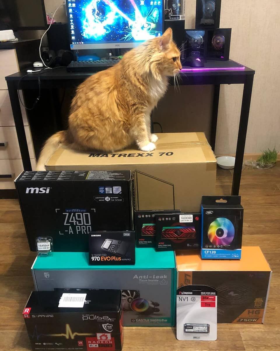 DeepCoolGermany's tweet photo. Na hoffentlich soll nicht die Katze im finalen Setup verbaut werden.🤓
📷 von @kolyashkot

#CASTLE360RGB #CF120 #MATREXX70 #tech #gaming #inspiration #photography #pcparts #pcgaming #pcmr #liquidcooling https://t.co/4pTSn8fl4v