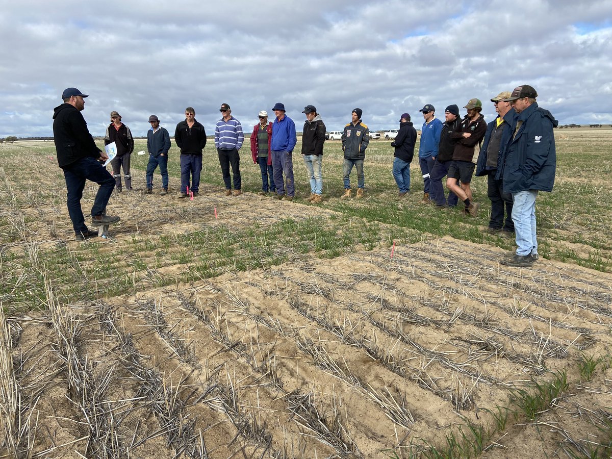 David Pfeiffer tweet media