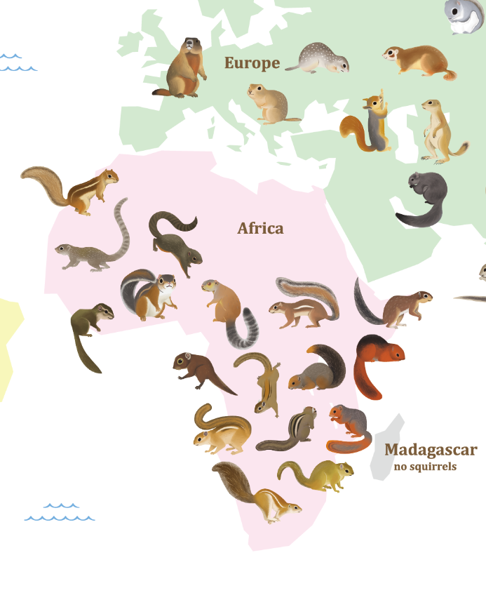 Maki りすマニア アフリカの動物と言えばライオン チーター ゾウ キリン シマウマ あと肉食獣に喰われる草食の牛みたいな奴 ゴリラとチンパンジー それ以外無 とまではいきませんが 被害妄想 メジャーな番組や動物ドキュメンタリーだととかく