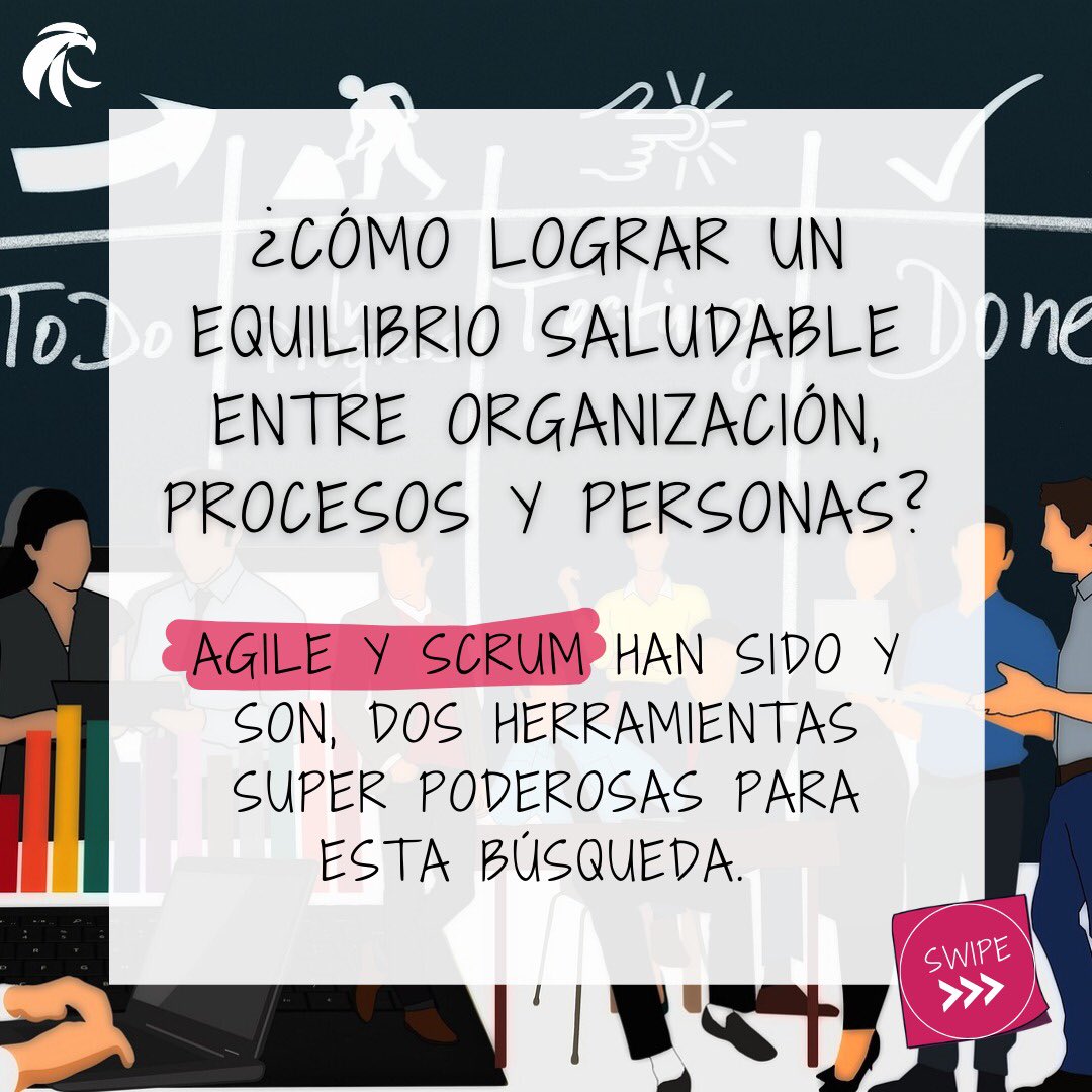 Peregrinus tweet media