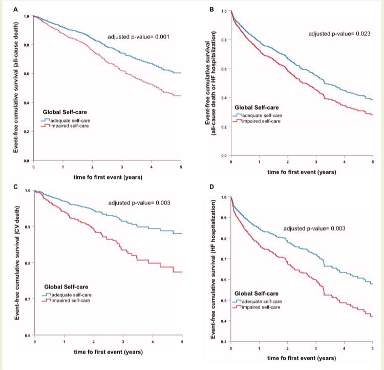 Esther Calero (@estherxcalero) on Twitter photo Our paper is now available at EJCN!
Worse self-care is an independent predictor of both mortality and #heartfailure hospitalization.
#cardiotwitter #Nursing #BIOHEART <a href="/hbellvitge/">Hospital Universitari Bellvitge | HUB</a> <a href="/idibell_cat/">IDIBELL</a> <a href="/AEEC_enfcardio/">Asociacion Española de Enfermeria en Cardiologia</a>
academic.oup.com/eurjcn/advance… Our paper is now available at EJCN!
Worse self-care is an independent predictor of both mortality and #heartfailure hospitalization.
#cardiotwitter #Nursing #BIOHEART <a href="/hbellvitge/">Hospital Universitari Bellvitge | HUB</a> <a href="/idibell_cat/">IDIBELL</a> <a href="/AEEC_enfcardio/">Asociacion Española de Enfermeria en Cardiologia</a>
academic.oup.com/eurjcn/advance…