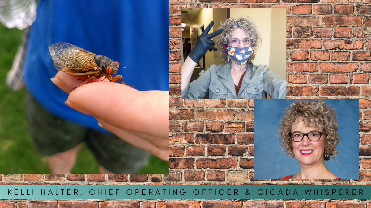 TenderMerciesOH's tweet photo. TM Chief Operating Officer, Kelli Halter has done a phenomenal job keeping residents and staff safe throughout the pandemic. Did you know she is also a cicada whisperer?
#covid #cicada #cincinnati #otr #westend #pandemic #safe #inthistogetherohio #inthistogethercincinnati https://t.co/DeZsmLFvfr