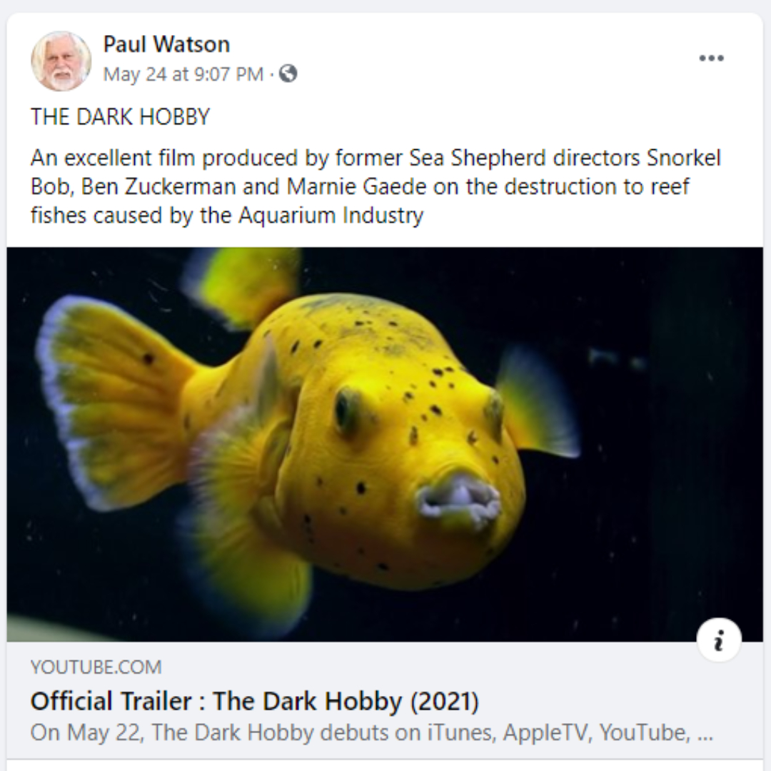 DarkHobby's tweet photo. Many thanks to Captain Paul Watson, Founder of Sea Shepherd and Co-Founder of Greenpeace, for his support.
@seashepherd @SeaShepherdSSCS
#thedarkhobby #PaulWatson #SeaShepherd #Greenpeace #SaveOurOcean #SaveOurReef #ReefProtection https://t.co/C42YYeDOM9