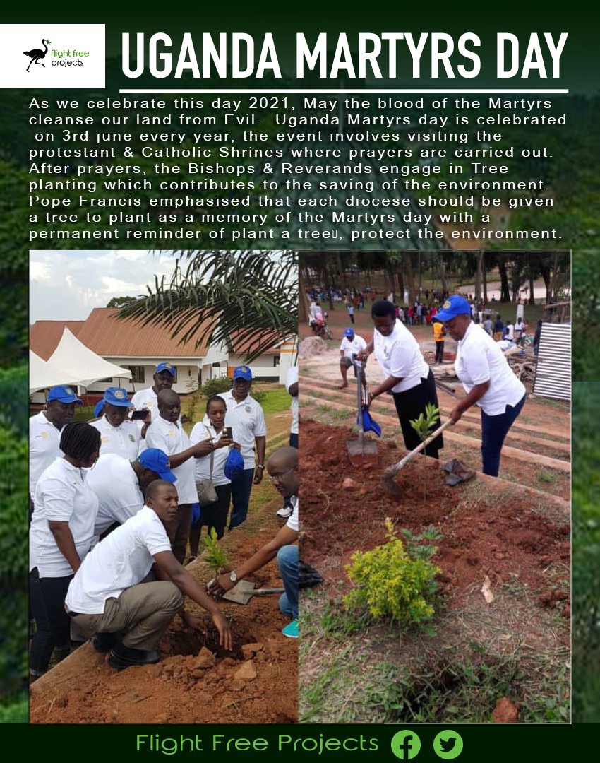 FlightFree_Proj's tweet photo. Happy celebrations of Uganda Martyrs Day as we plant trees for a green livelihood.

https://t.co/MS55OSSMcr https://t.co/lY2Mueb9jW